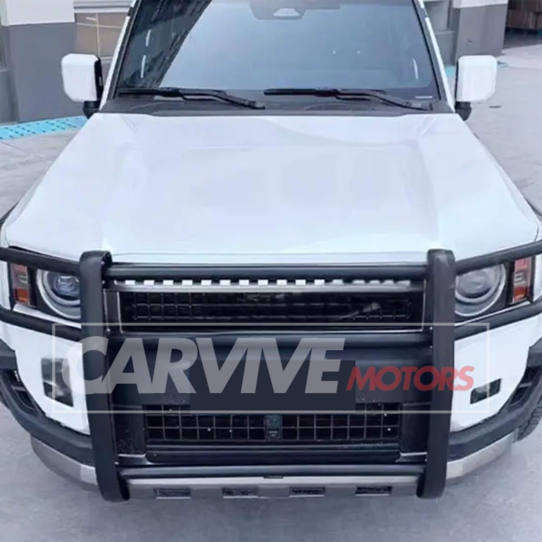 (2024-2026) Toyota Landcruiser Prado LC250 Bumper Guard